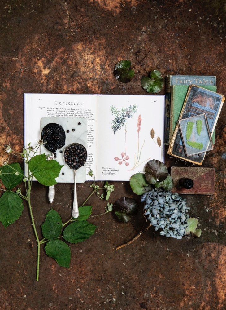 Still Life portfolio photograph