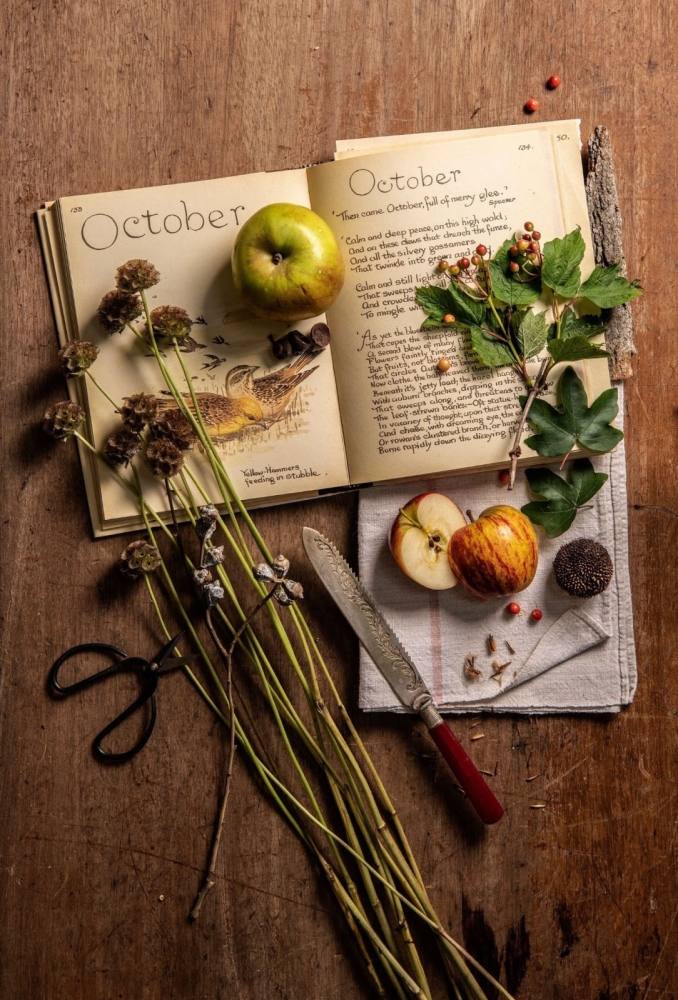 Still Life portfolio photograph