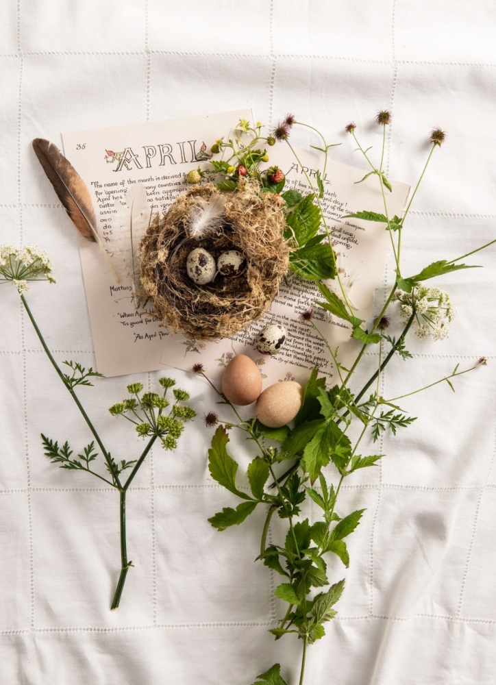 Still Life portfolio photograph