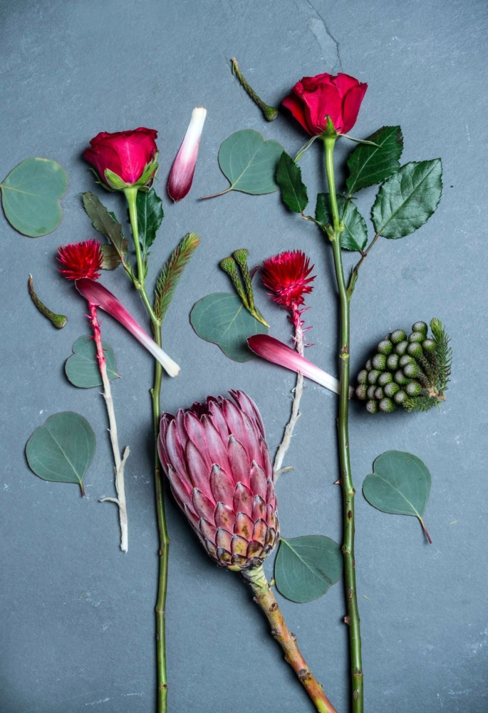 Still Life portfolio photograph