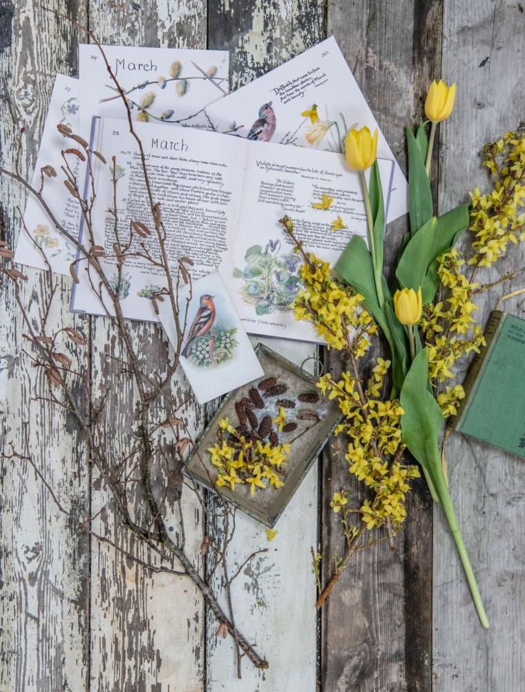 Still Life portfolio photograph